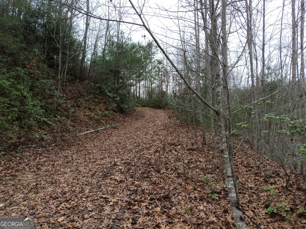 LOT 18 Wynngate DR Dillard, GA 30537