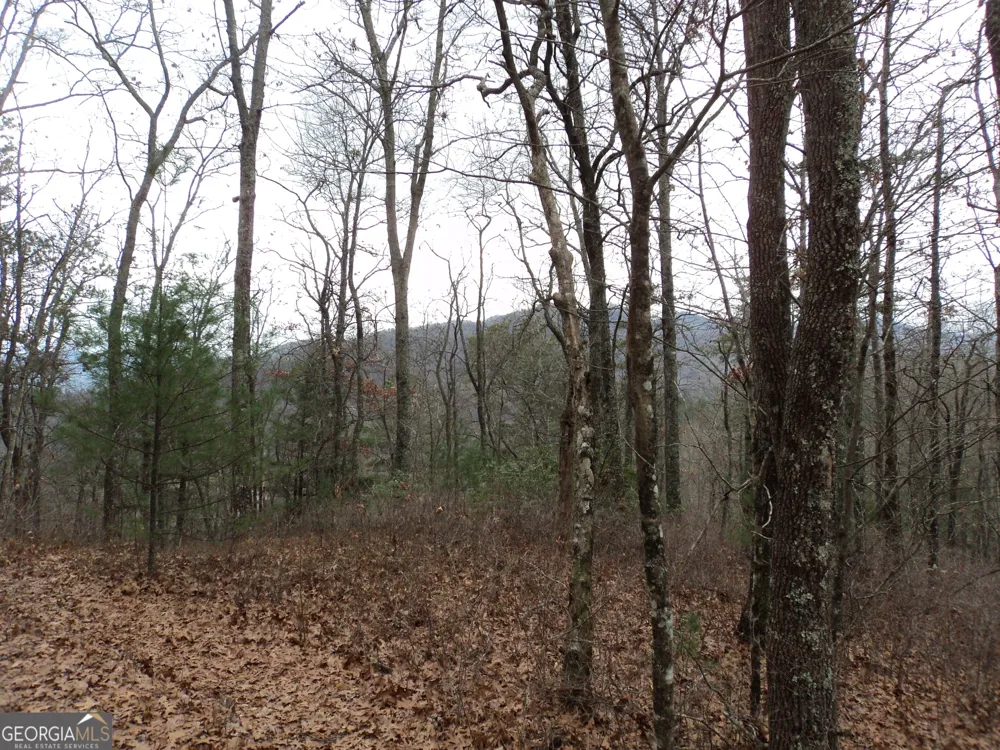 LOT 18 Wynngate DR Dillard, GA 30537
