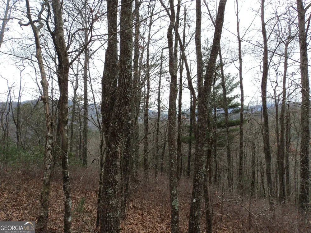 LOT 18 Wynngate DR Dillard, GA 30537