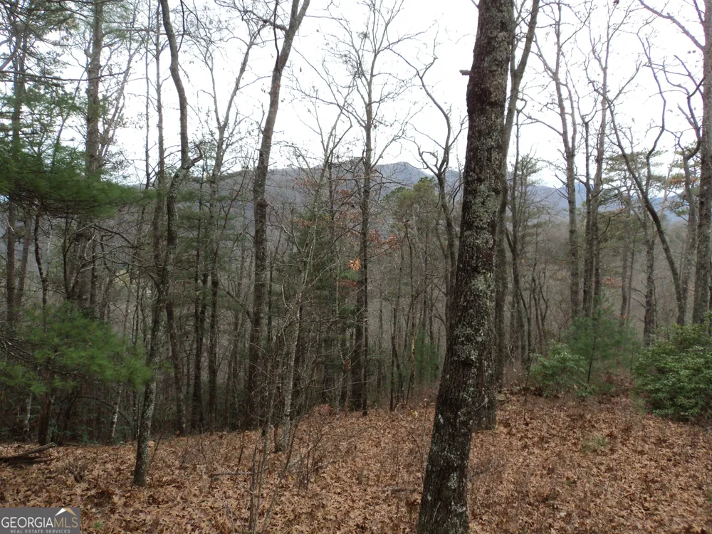 LOT 18 Wynngate DR Dillard, GA 30537