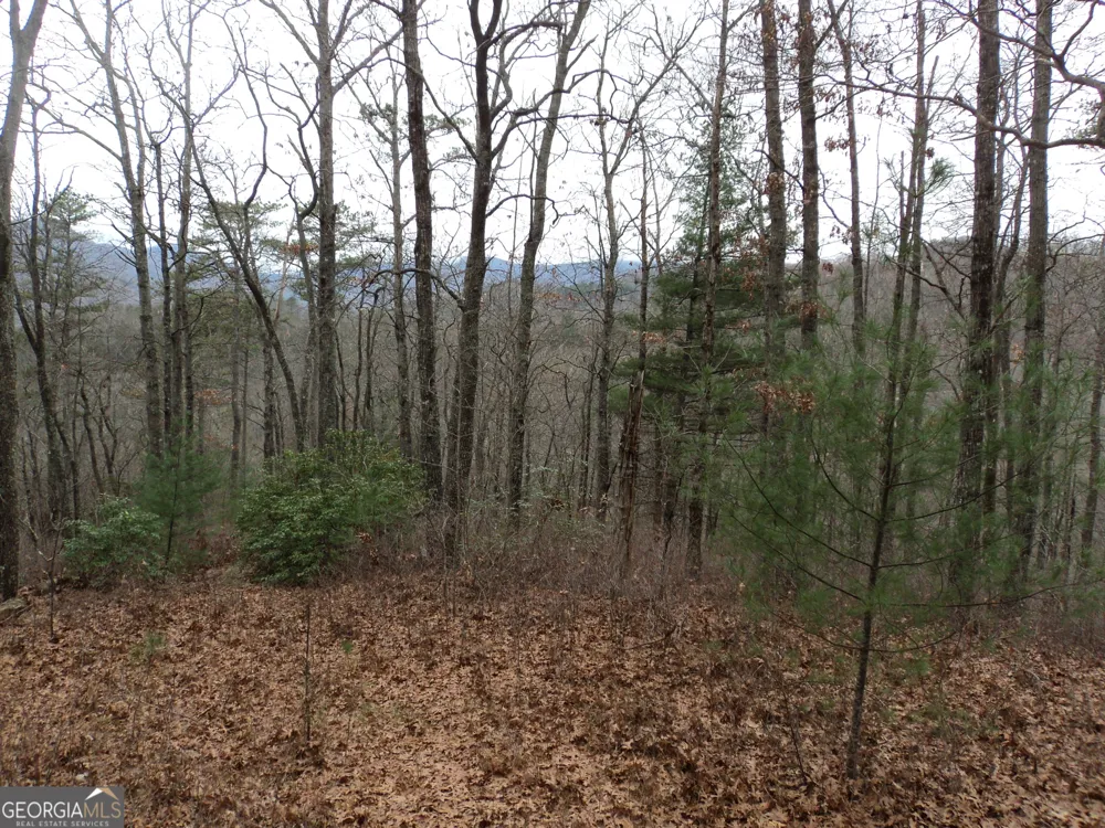 LOT 18 Wynngate DR Dillard, GA 30537