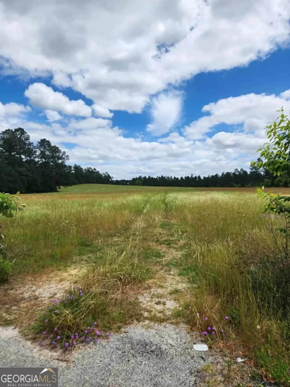 0 Stingray RD Swainsboro, GA 30401