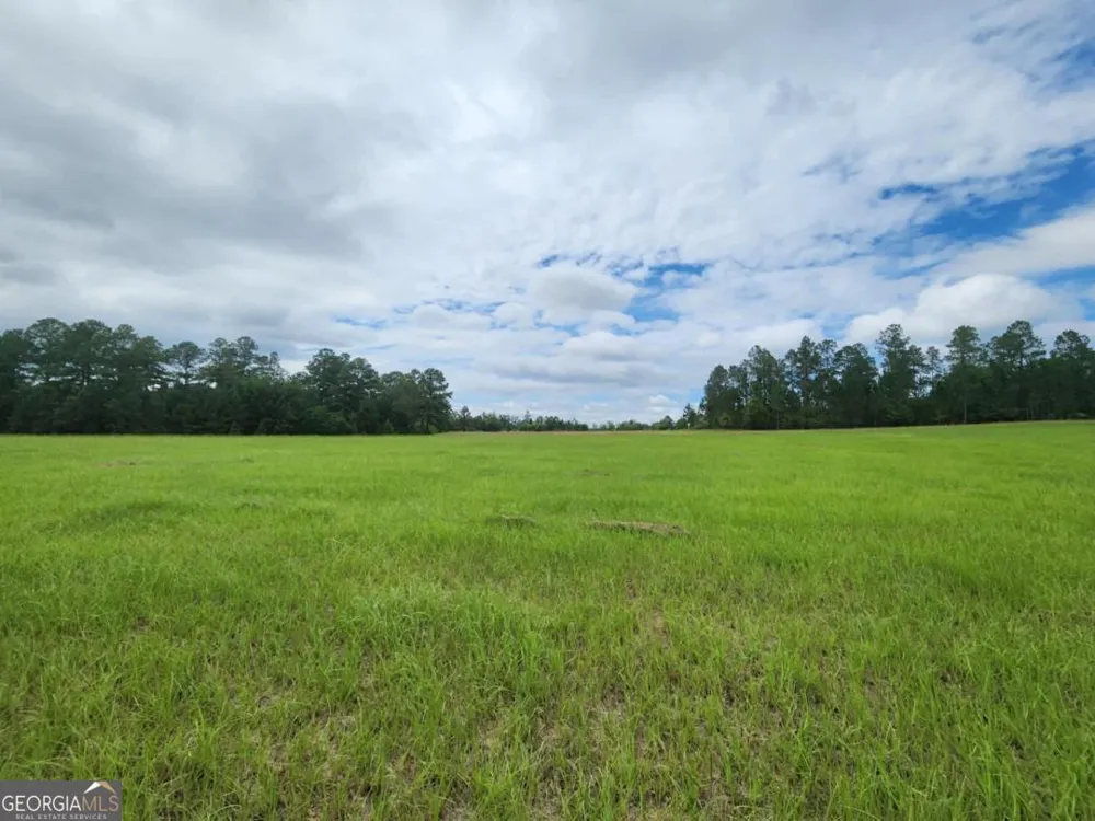 0 Stingray RD Swainsboro, GA 30401