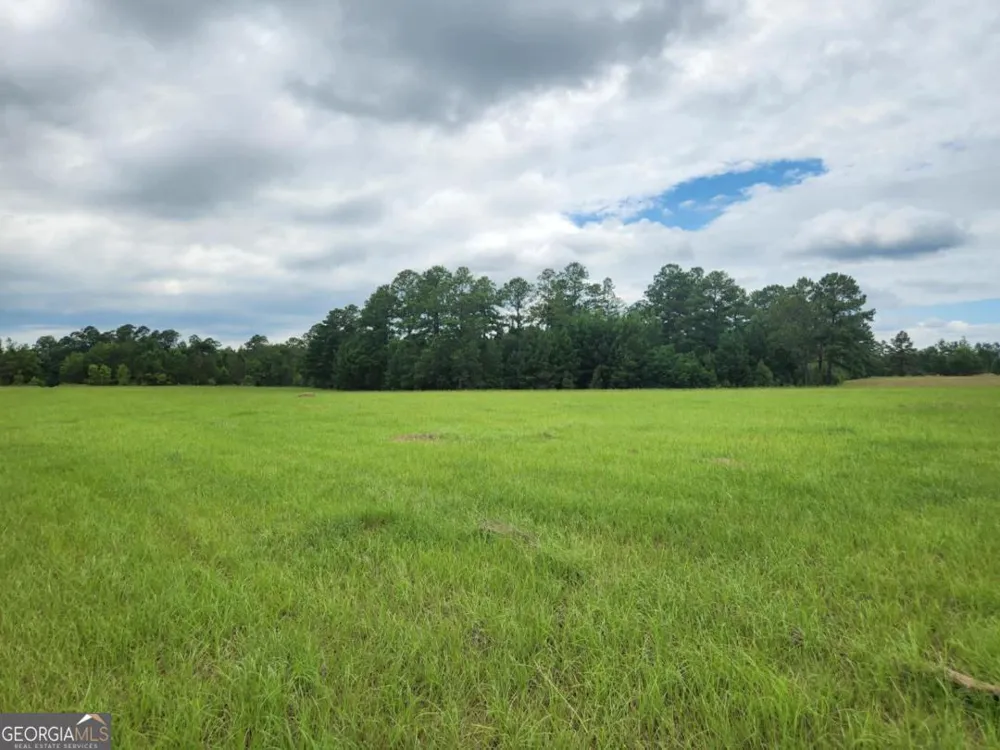 0 Stingray RD Swainsboro, GA 30401