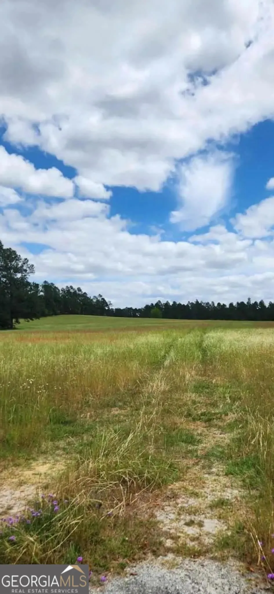 0 Stingray RD Swainsboro, GA 30401