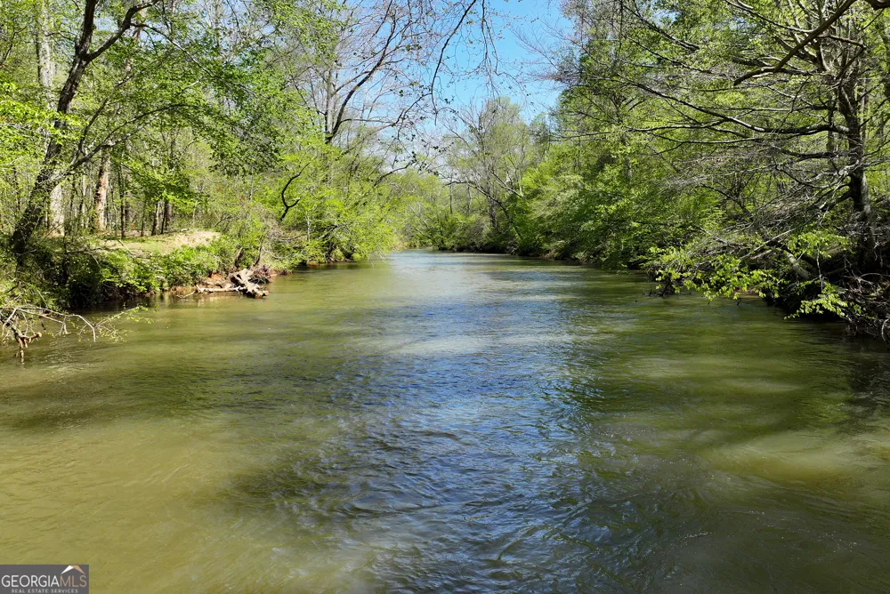 1060 Golden AVE Dahlonega, GA 30533