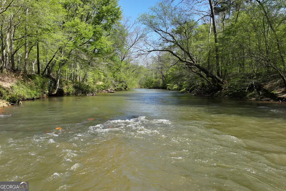 1060 Golden AVE Dahlonega, GA 30533