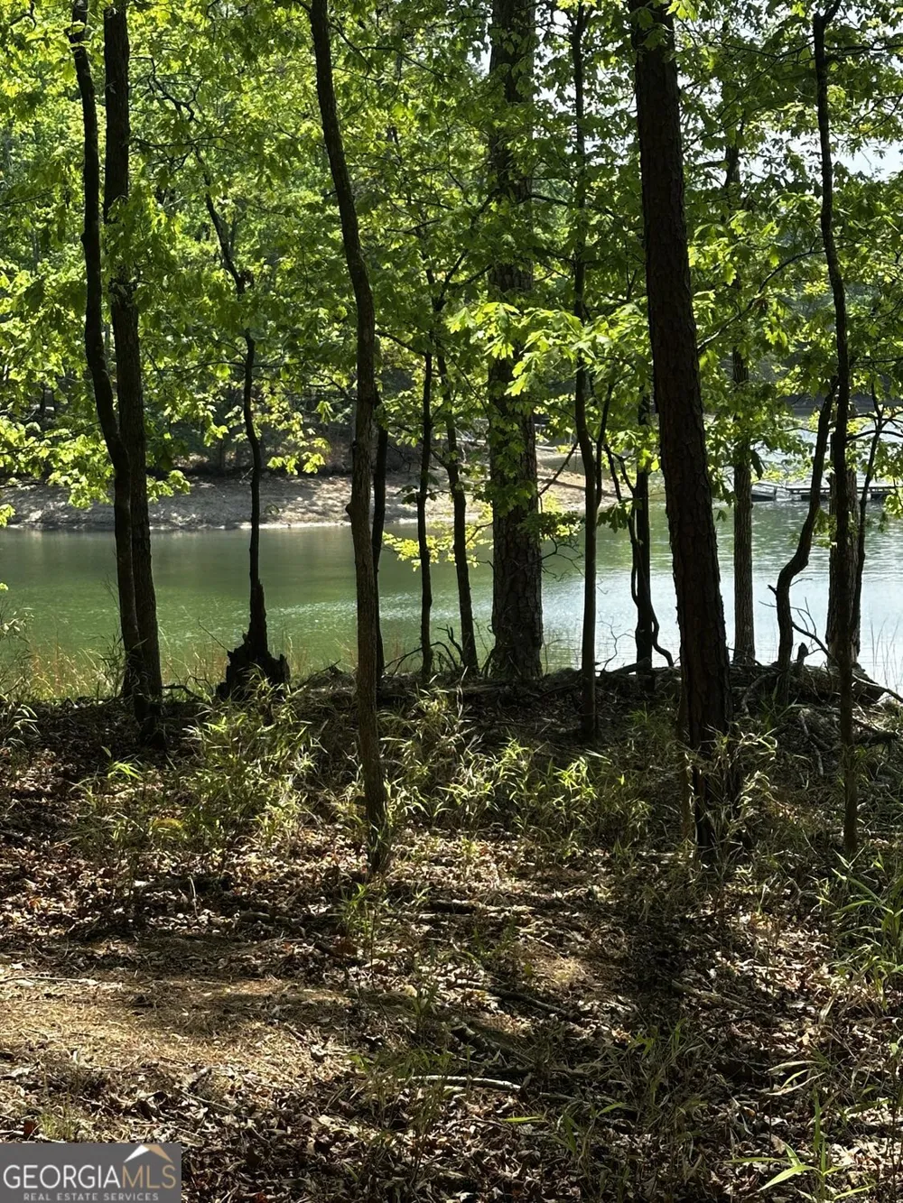 5953 Grand Marina CIR Gainesville, GA 30506
