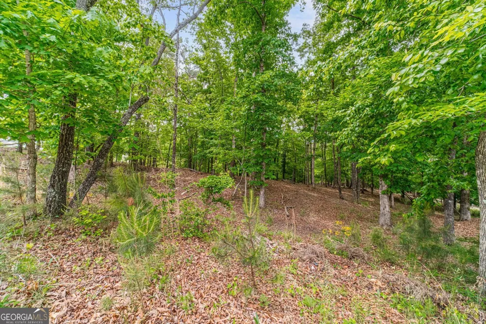 5953 Grand Marina CIR Gainesville, GA 30506