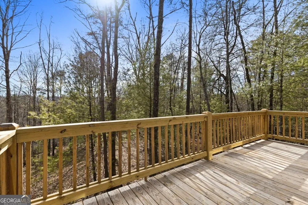 150 Williams Branch DR Morganton, GA 30560