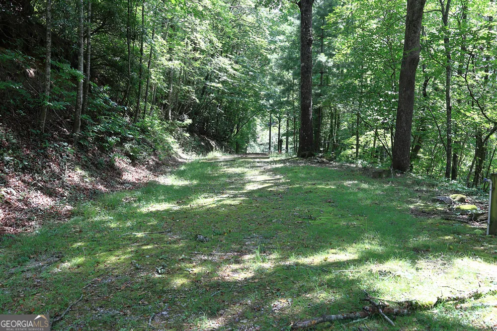 29/55 Cool Spring LN Clayton, GA 30525