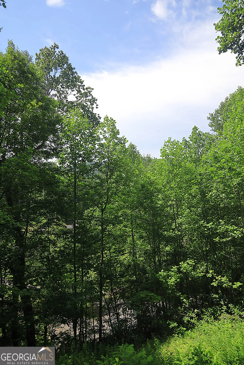 29/55 Cool Spring LN Clayton, GA 30525