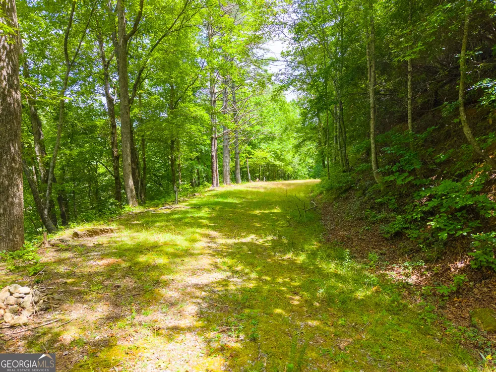 29/55 Cool Spring LN Clayton, GA 30525