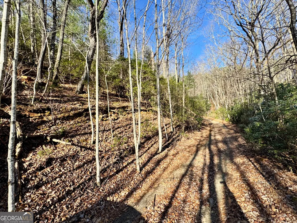 0 Mule Branch RD Helen, GA 30545