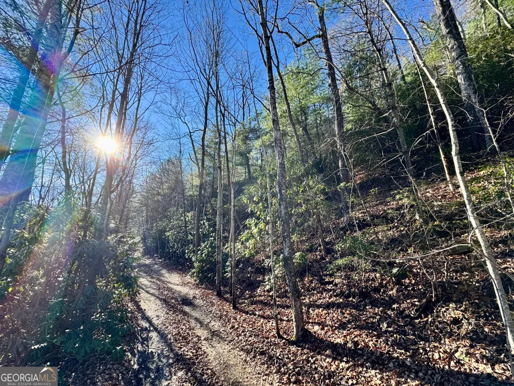 0 Mule Branch RD Helen, GA 30545