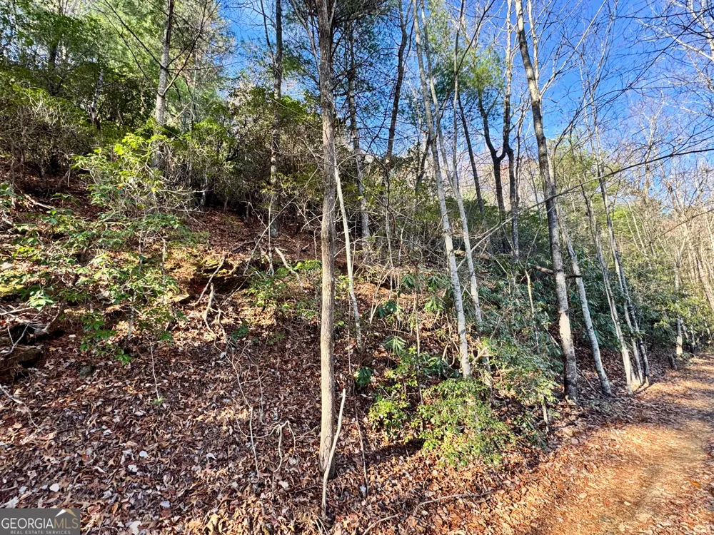 0 Mule Branch RD Helen, GA 30545