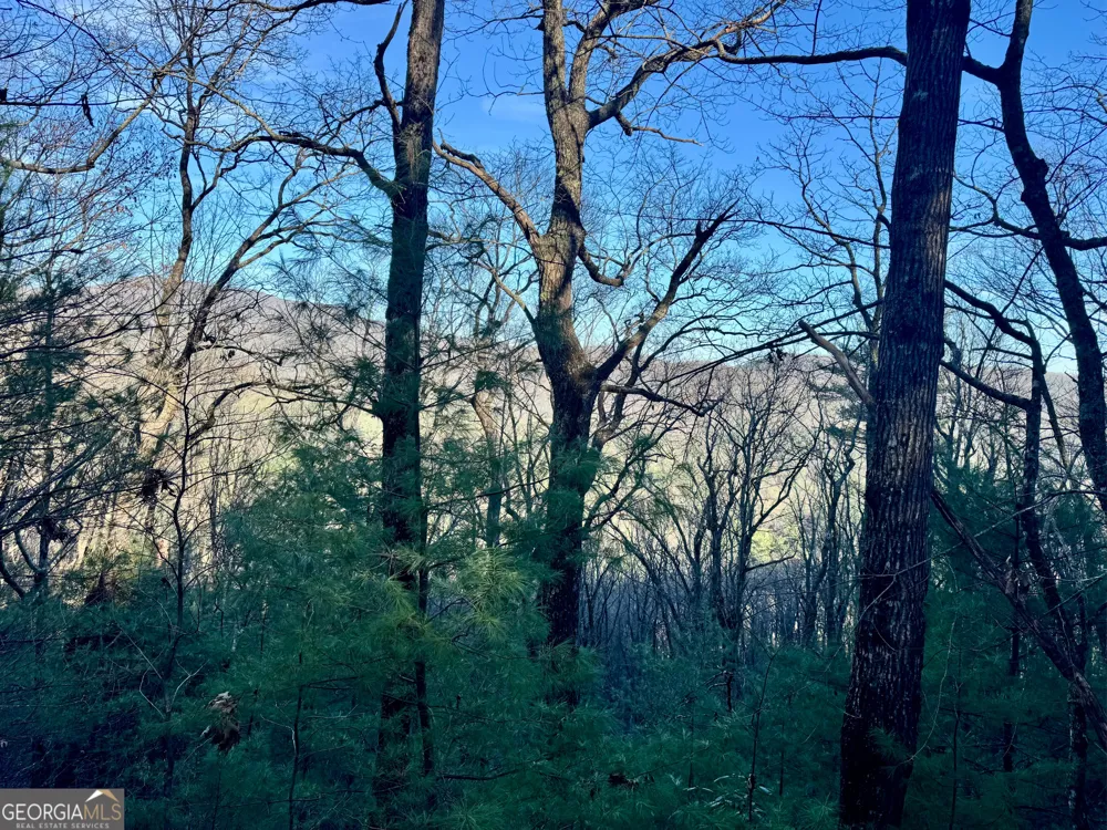 0 Mule Branch RD Helen, GA 30545
