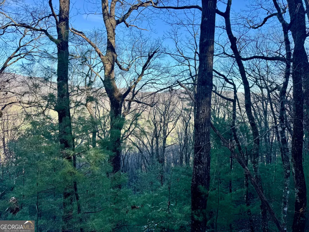 0 Mule Branch RD Helen, GA 30545