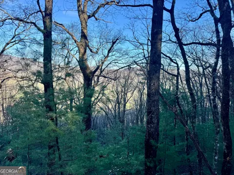 0 Mule Branch RD