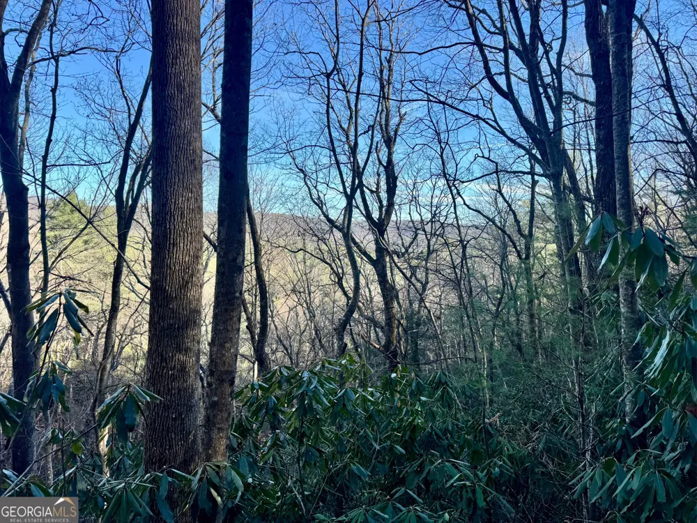 0 Mule Branch RD Helen, GA 30545