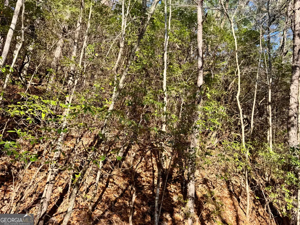 0 Mule Branch RD Helen, GA 30545
