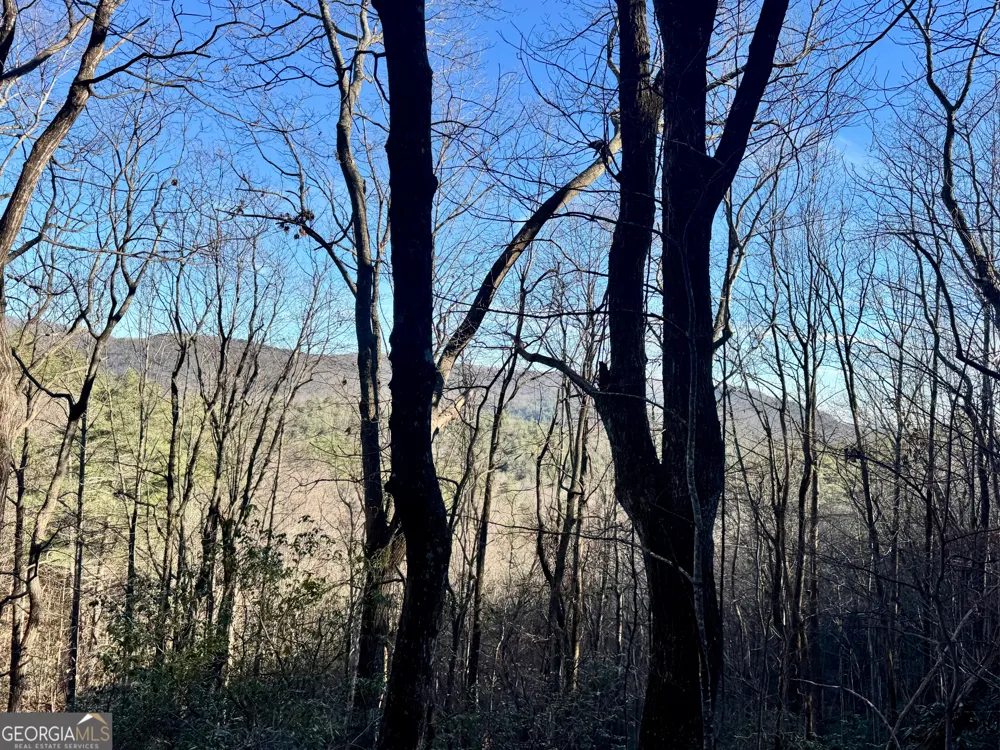 0 Mule Branch RD Helen, GA 30545