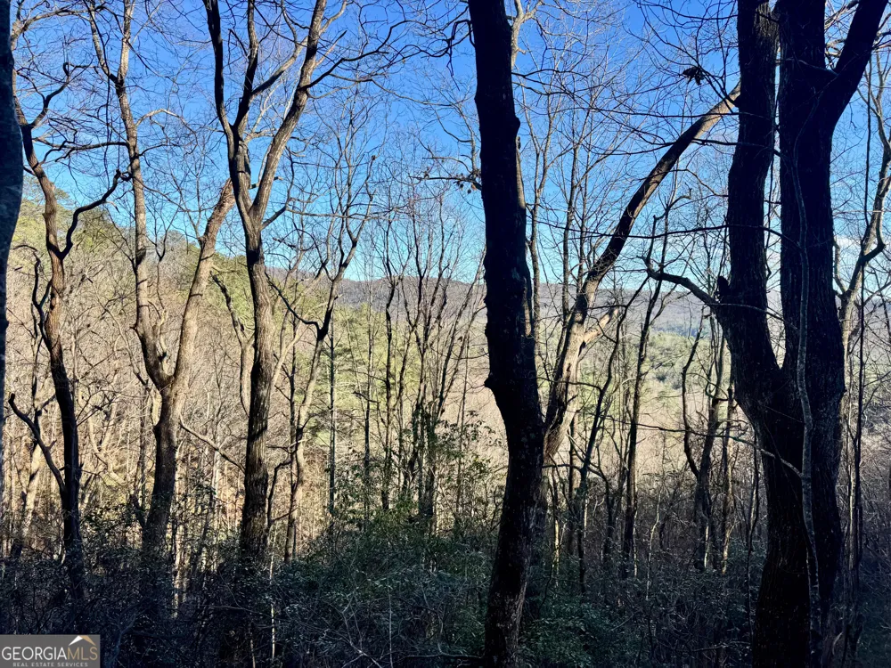 0 Mule Branch RD Helen, GA 30545