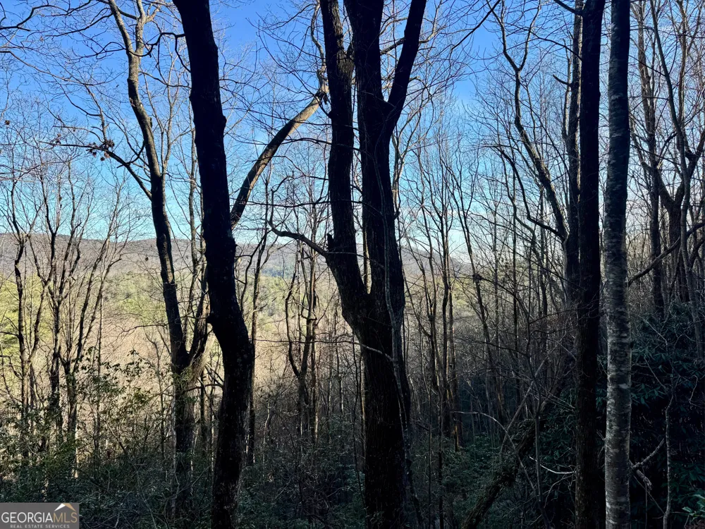 0 Mule Branch RD Helen, GA 30545