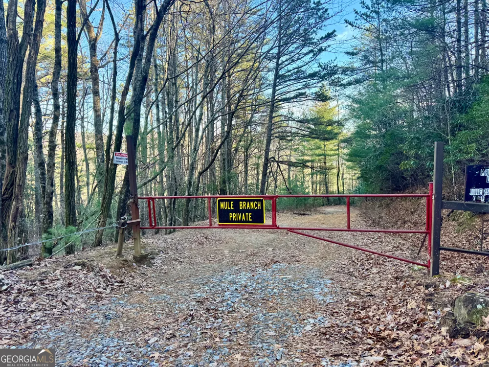 0 Mule Branch RD Helen, GA 30545