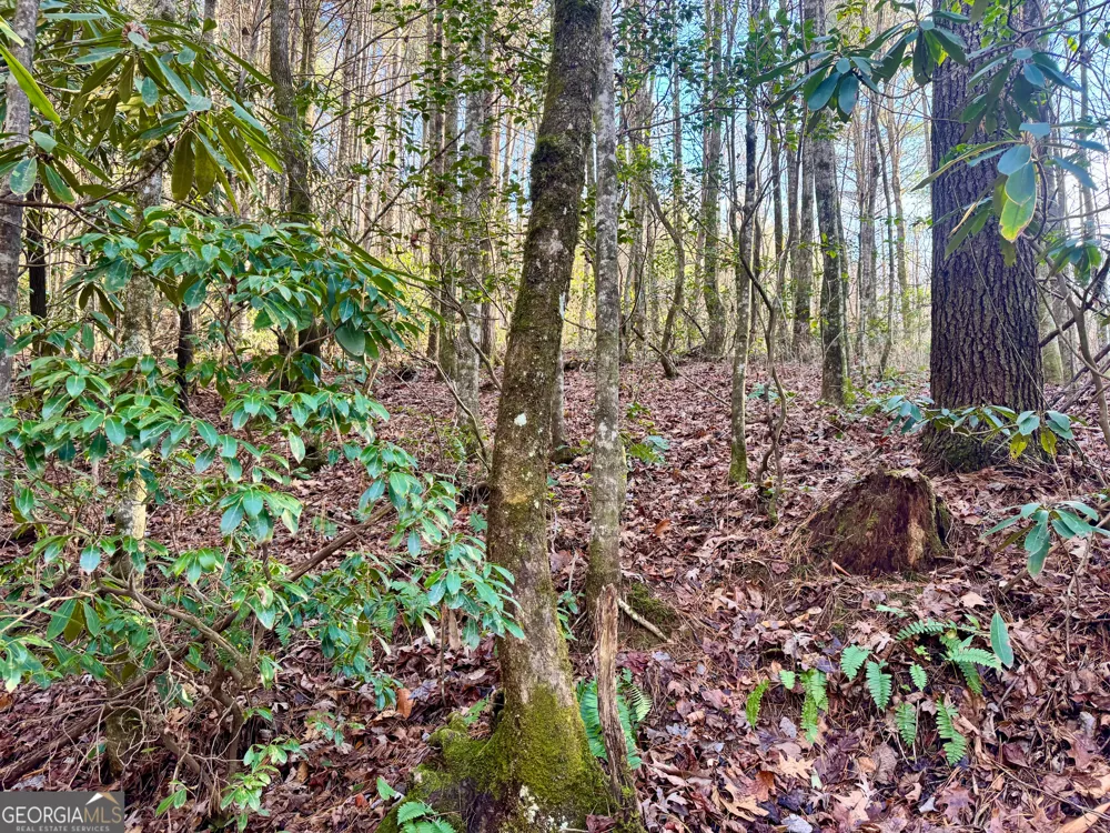 0 Mule Branch RD Helen, GA 30545