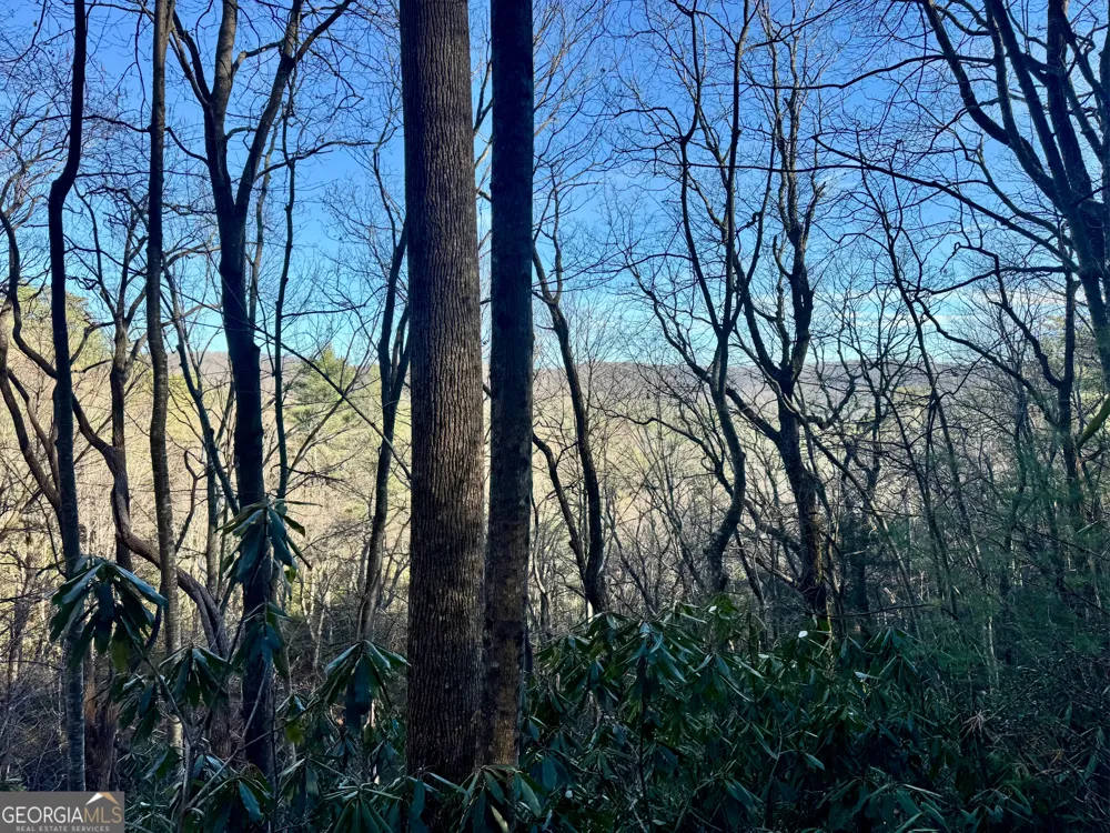 0 Mule Branch RD Helen, GA 30545