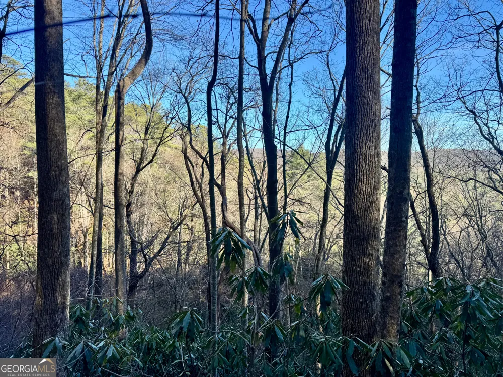 0 Mule Branch RD Helen, GA 30545