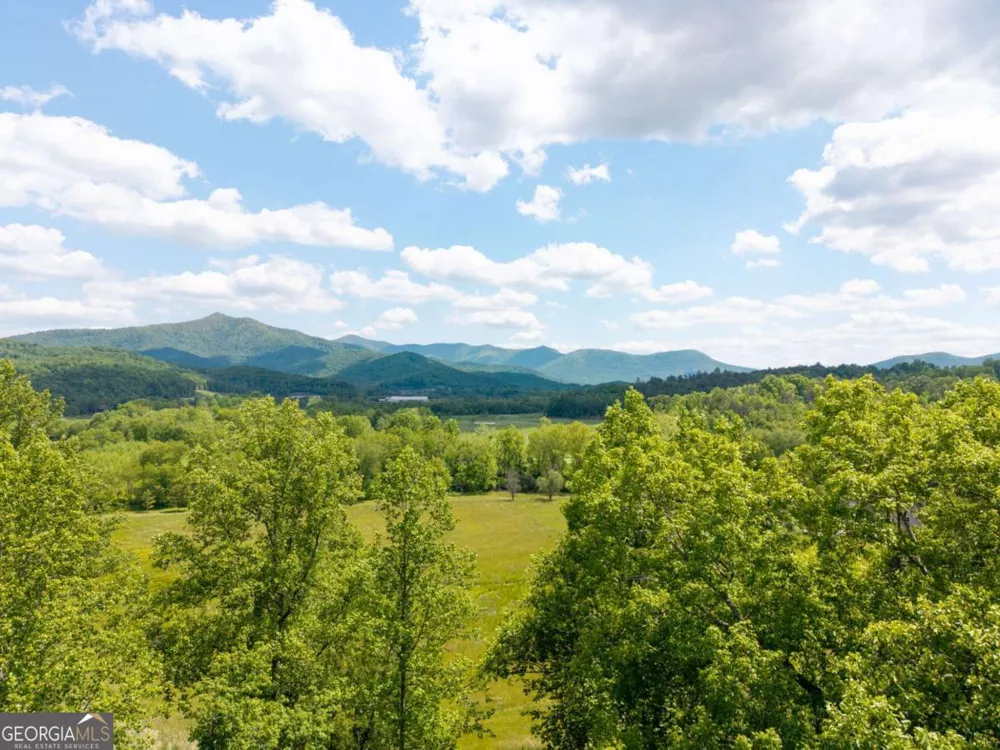 5686 Pine Crest RD Young Harris, GA 30582