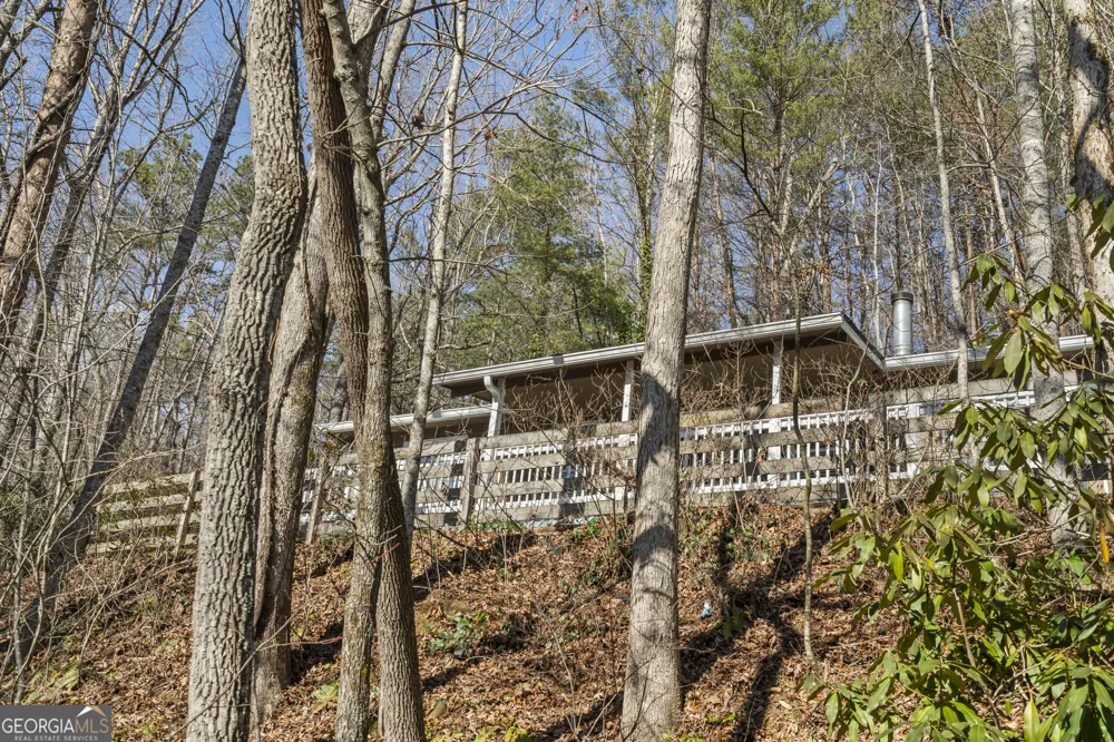 1131 Joe Davis RD Tiger, GA 30576