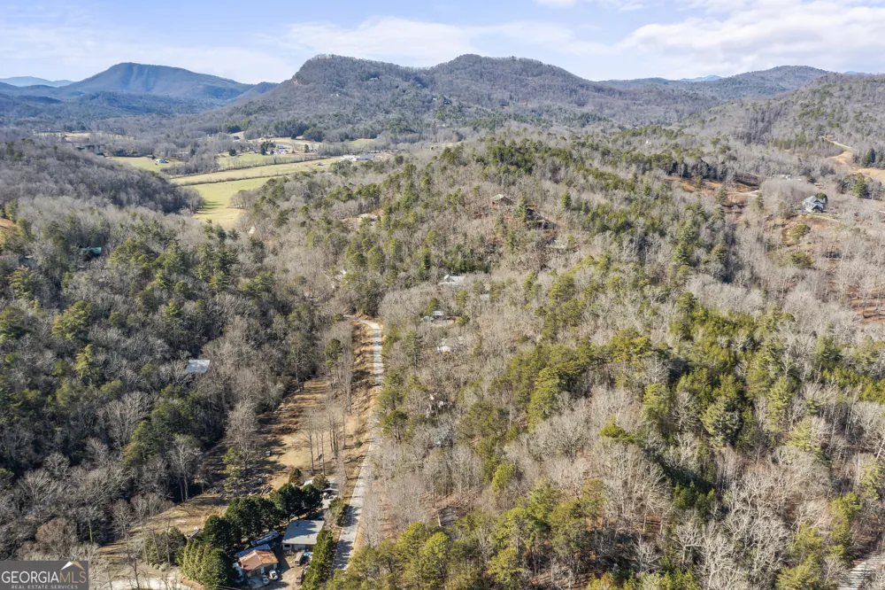 1131 Joe Davis RD Tiger, GA 30576
