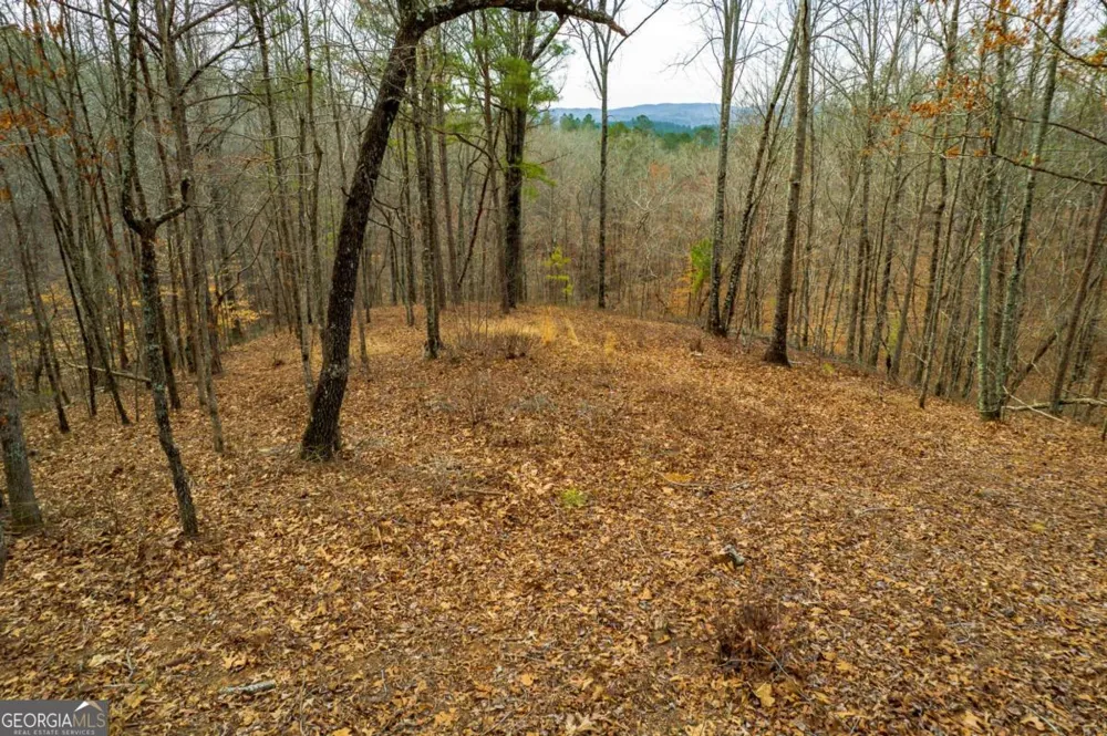 LOT 44 Bucktail WAY Talking Rock, GA 30175