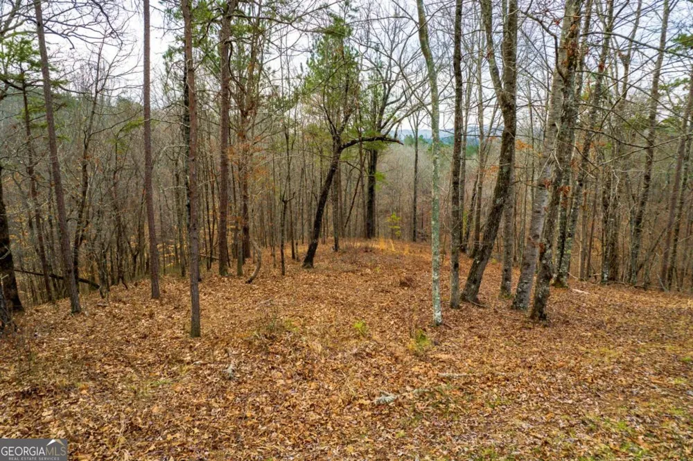 LOT 44 Bucktail WAY Talking Rock, GA 30175