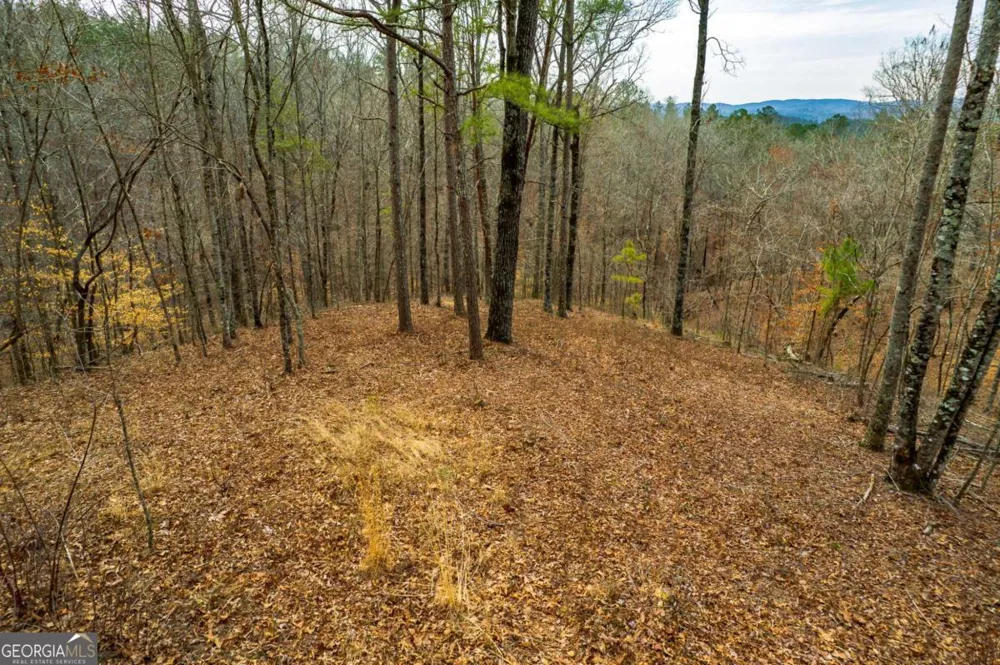 LOT 44 Bucktail WAY Talking Rock, GA 30175