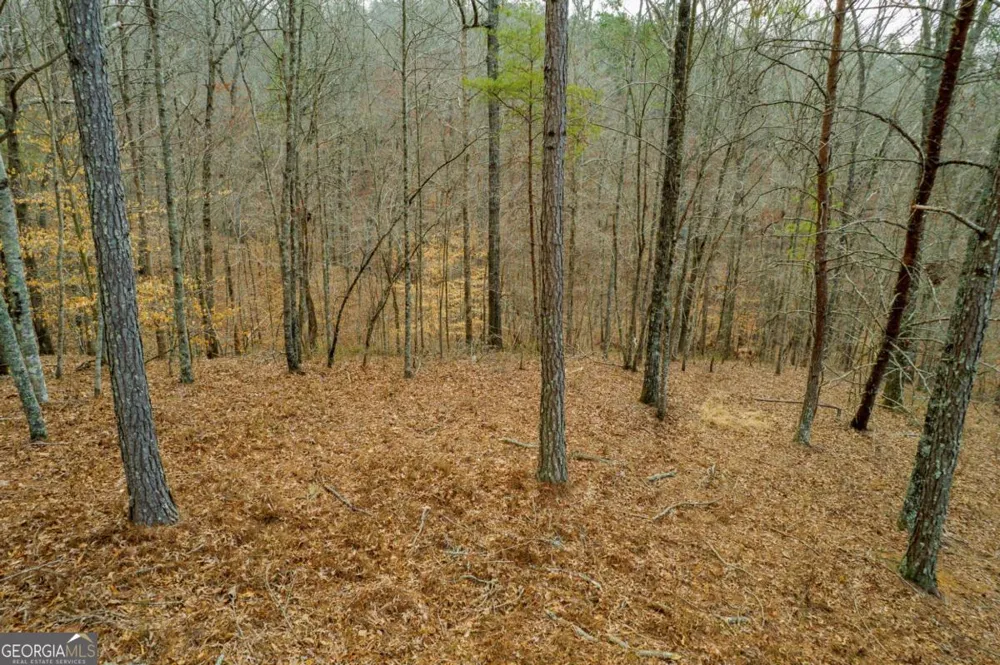 LOT 44 Bucktail WAY Talking Rock, GA 30175