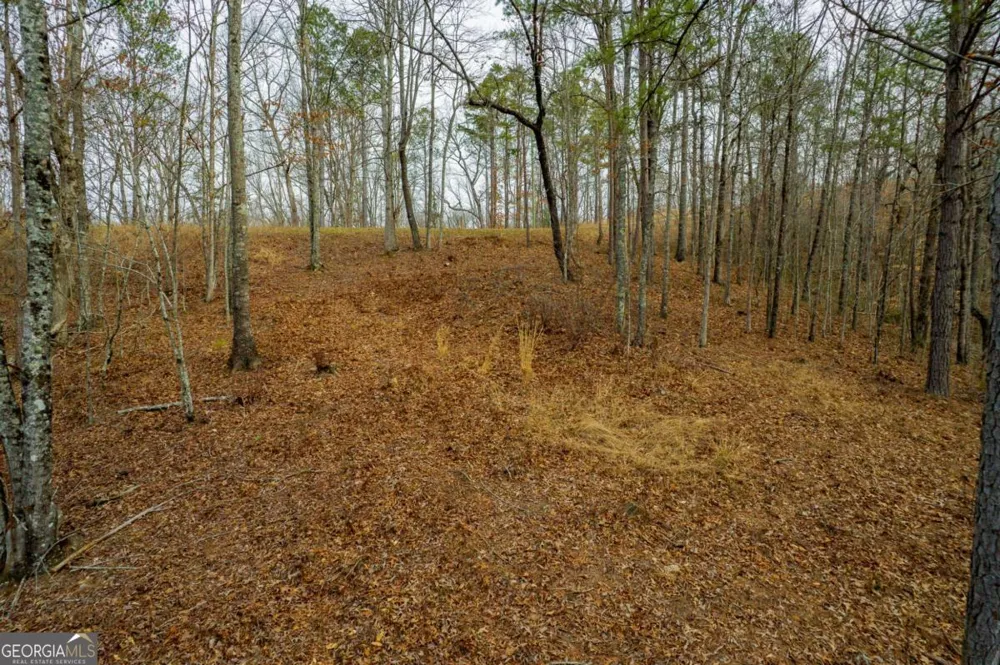 LOT 44 Bucktail WAY Talking Rock, GA 30175
