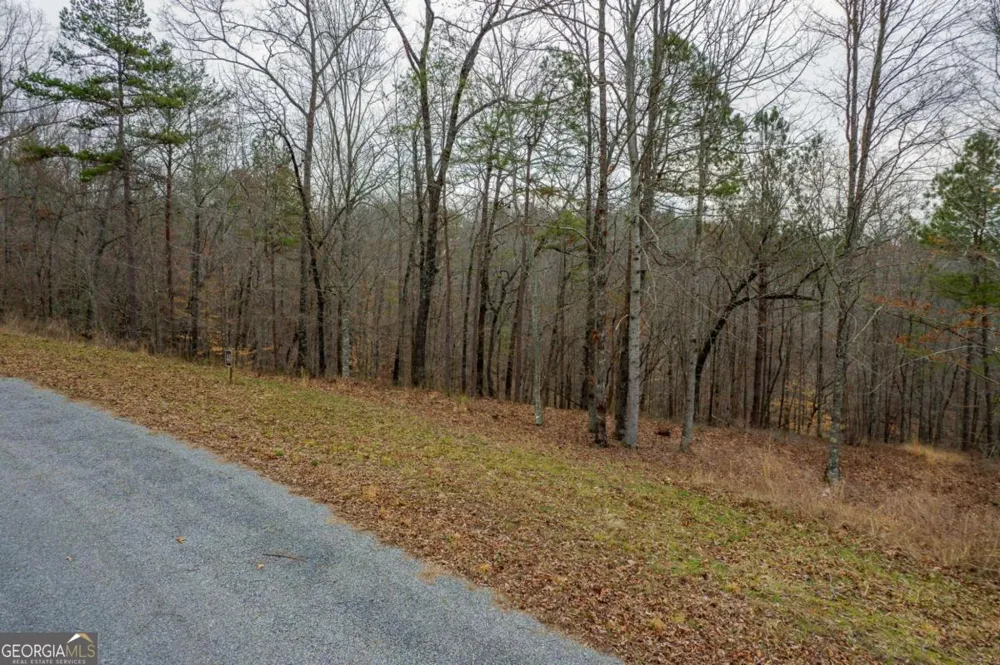 LOT 44 Bucktail WAY Talking Rock, GA 30175