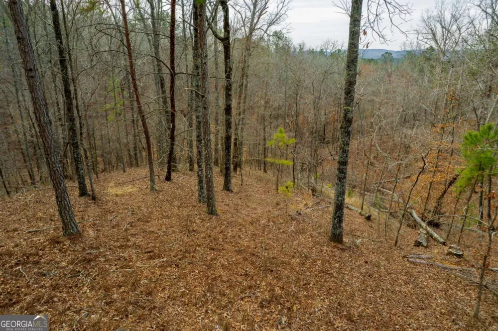 LOT 44 Bucktail WAY Talking Rock, GA 30175