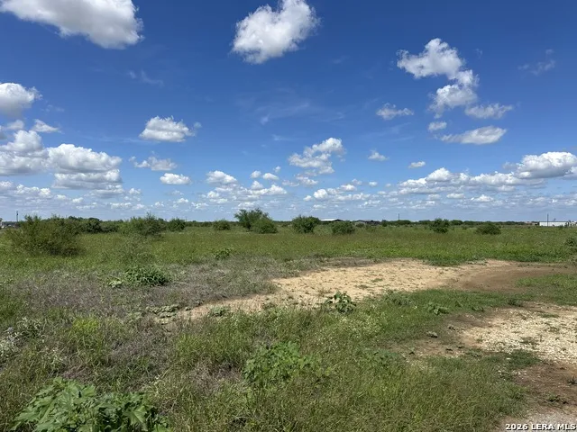 2267 CR 430 Pleasanton, TX 78064