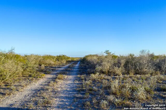 TBD Live Oak Spur George West, TX 78022