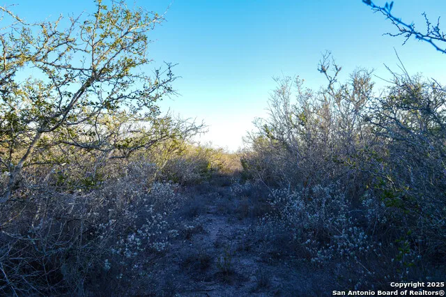 TBD Live Oak Spur George West, TX 78022