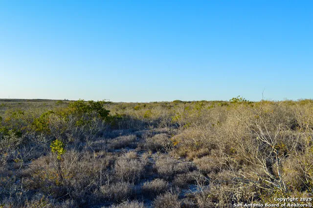 TBD Live Oak Spur George West, TX 78022