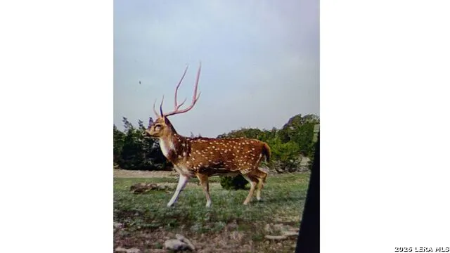 TBD SD 28533 Rocksprings, TX 78880