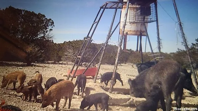 TBD SD 28533 Rocksprings, TX 78880