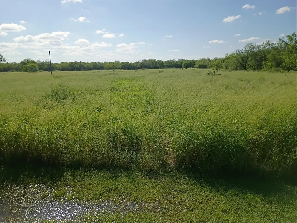 356 Deer Meadows Drive Alice, TX 78332