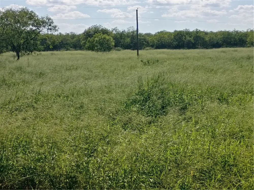 356 Deer Meadows Drive Alice, TX 78332